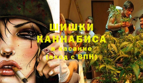 дмт Армянск