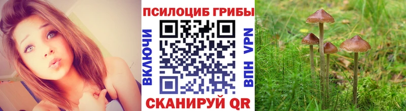 Галлюциногенные грибы ЛСД  как найти наркотики  Алатырь 